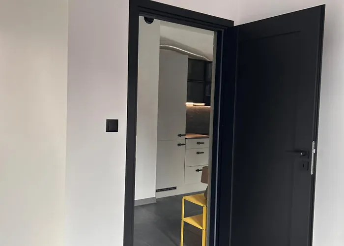 Nowy Nikisz Apartament *